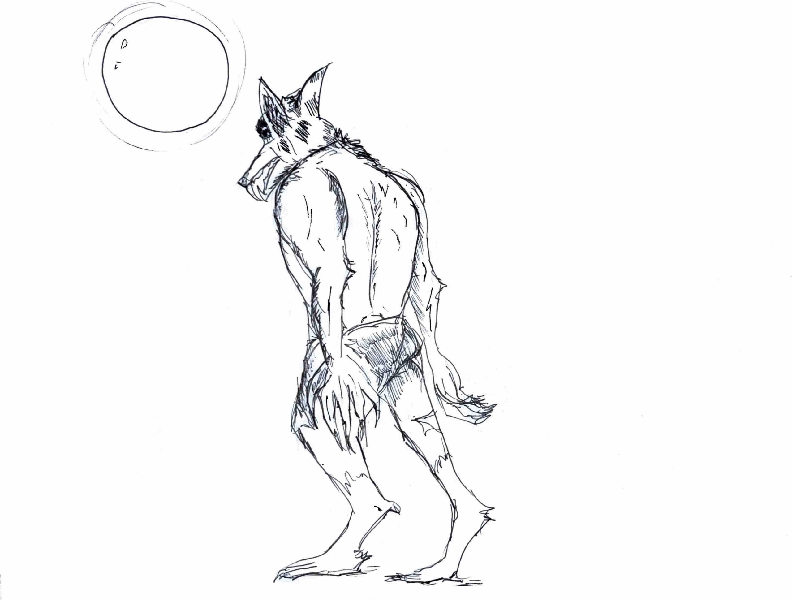 Wolf Man: A physical transformation without much heart