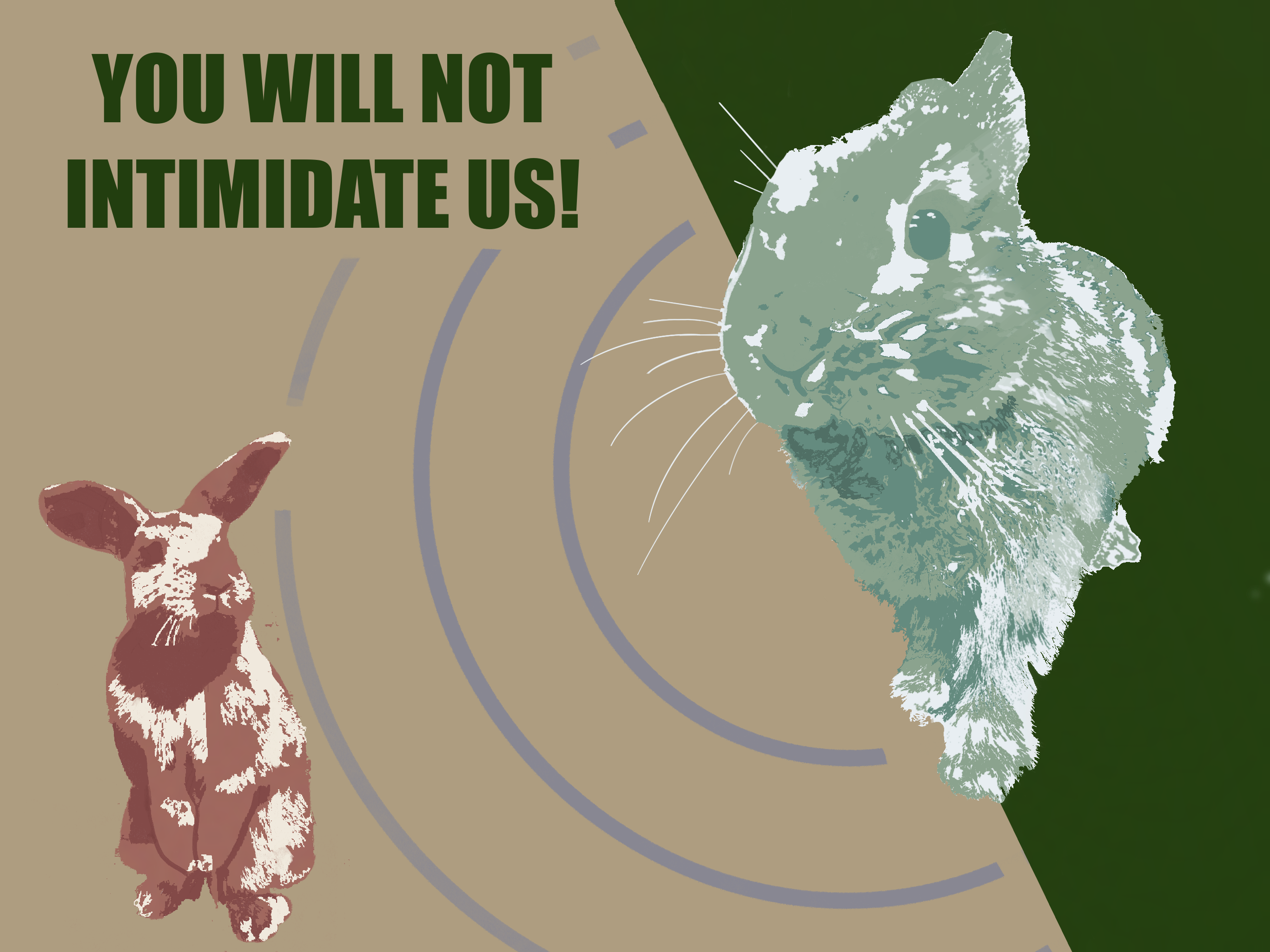 Updates on our Rabbit Overlord