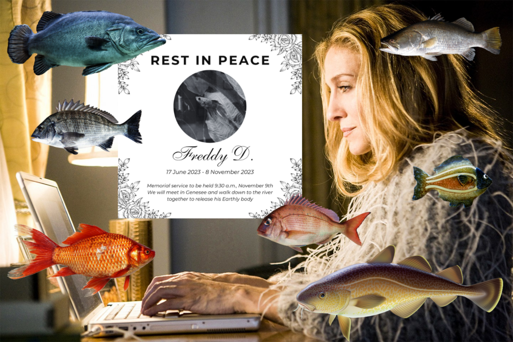 In Memoriam, Freddy D.