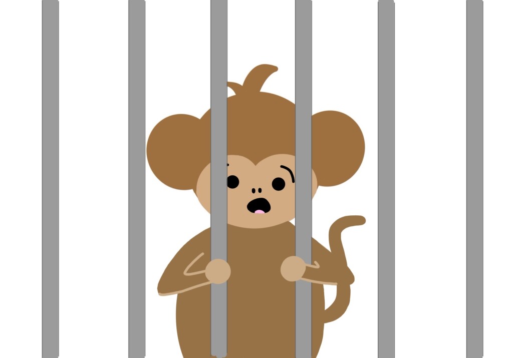 Free the monkeys