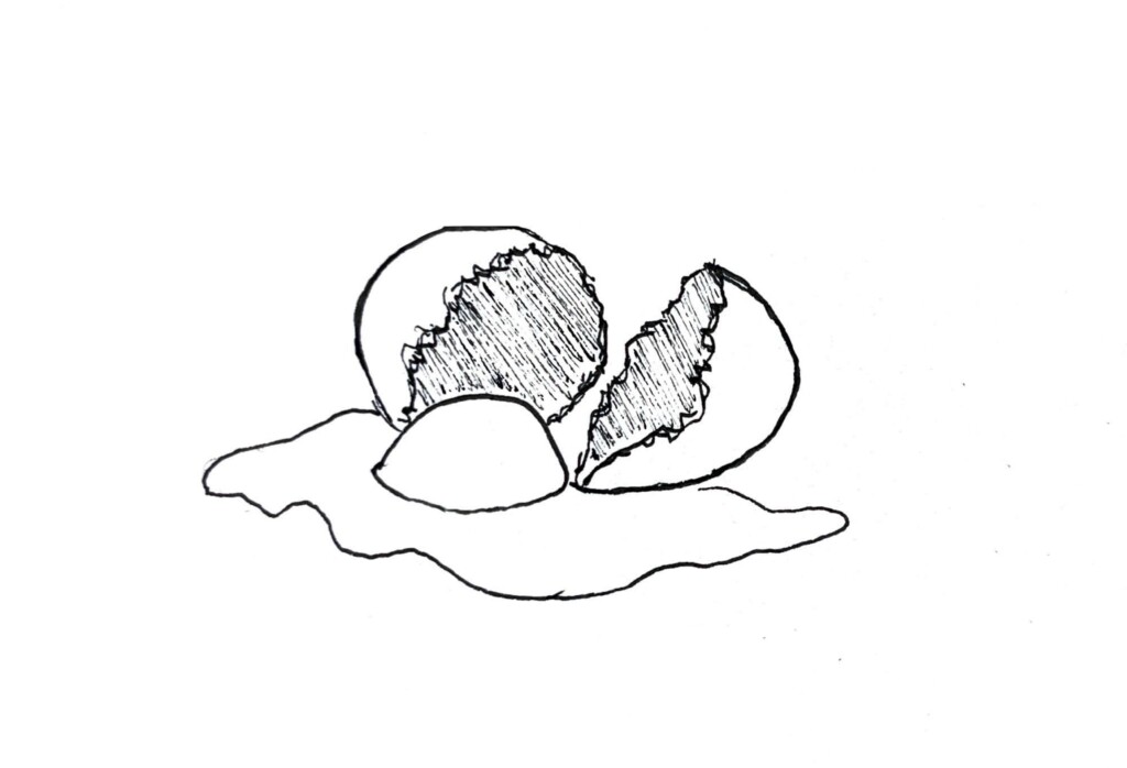 Bird Flu? I sure hope they did!