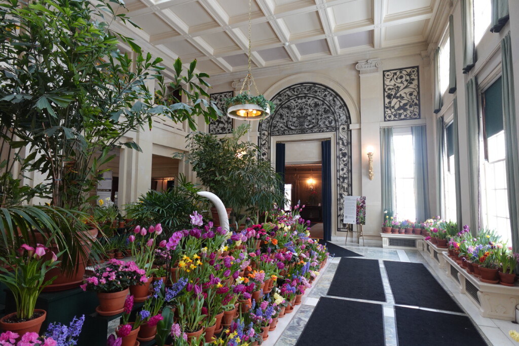 Spring blooms at the George Eastman Museum’s “Dutch Connection