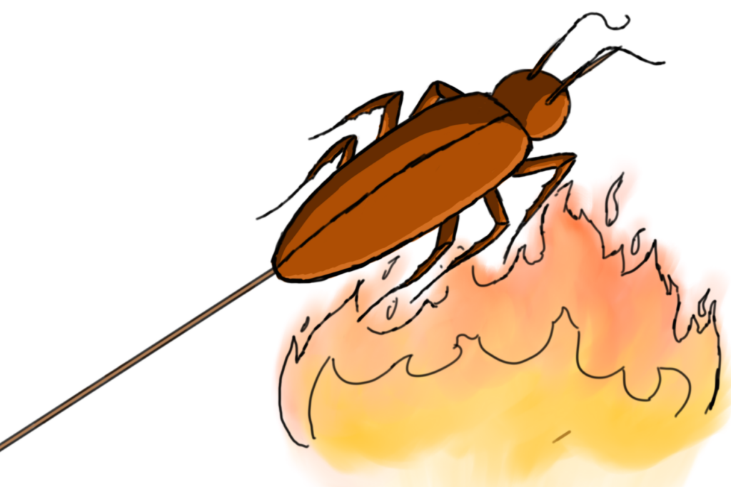 Roachester’s new delicacy