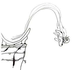 A drawing of a car careening off a cliff.