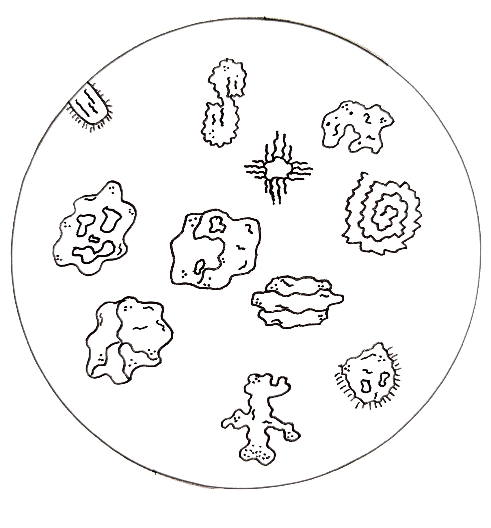 Breaking: new bacterium discovered in first-year communal bathrooms