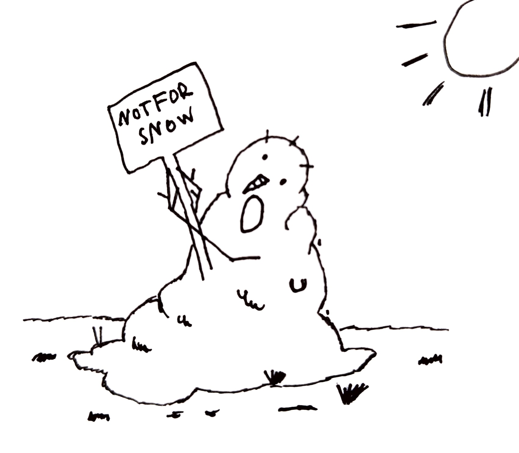 “Reflecting” on Melt