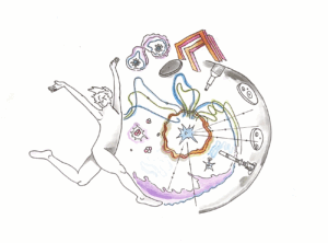 A swirling collage of music, objects, and a person