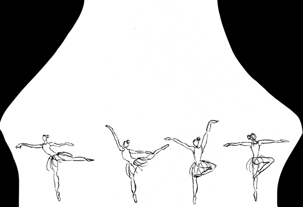 A night at the ballet: Kyiv Ballet Company&#8217;s Swan Lake