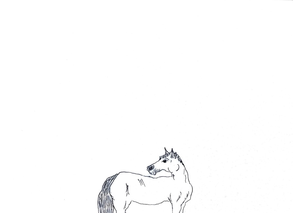 Pennsylvania band feeble little horse comes upstate