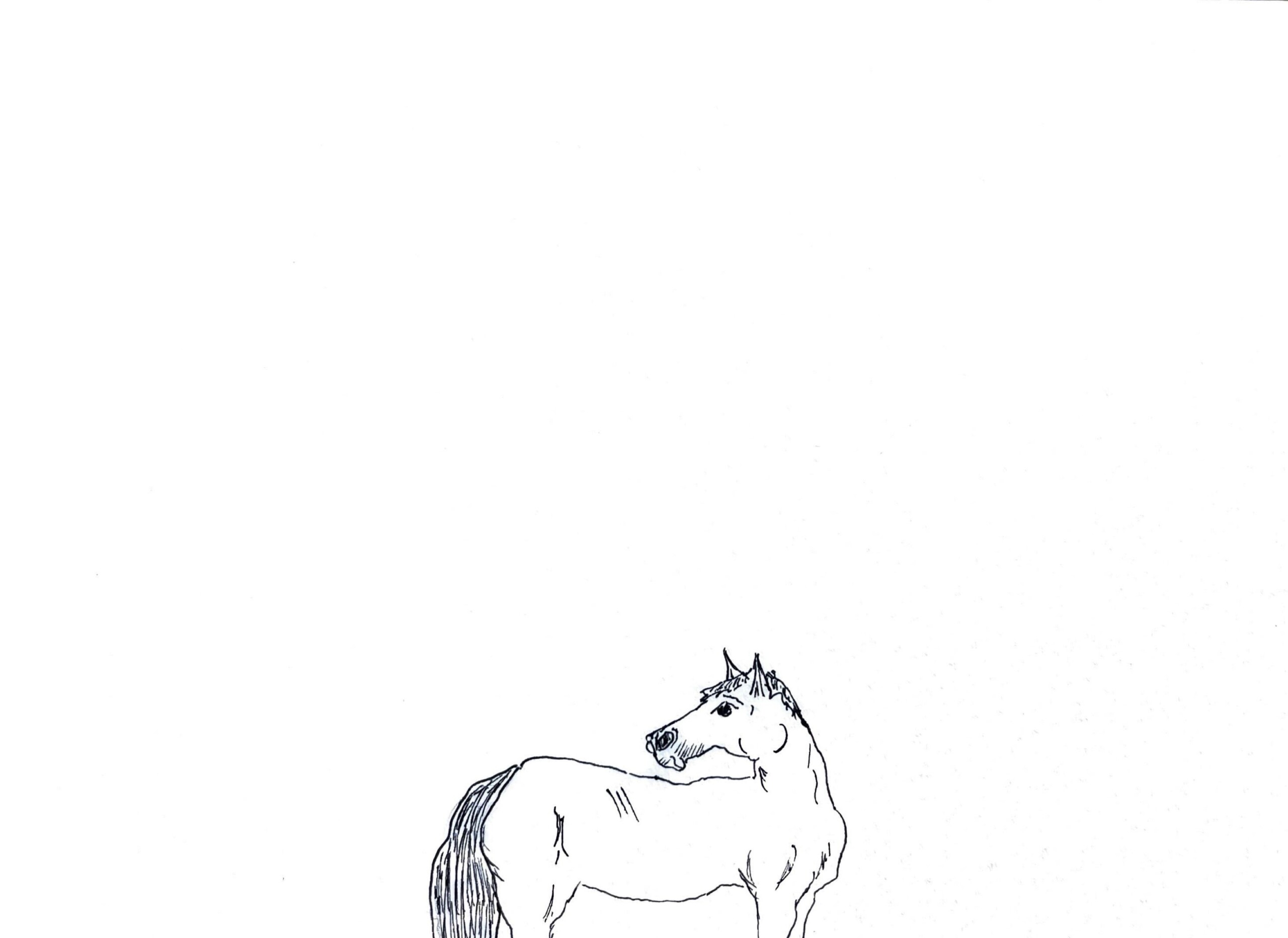 Pennsylvania band feeble little horse comes upstate