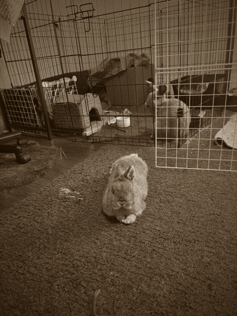 Email blast from the distant past