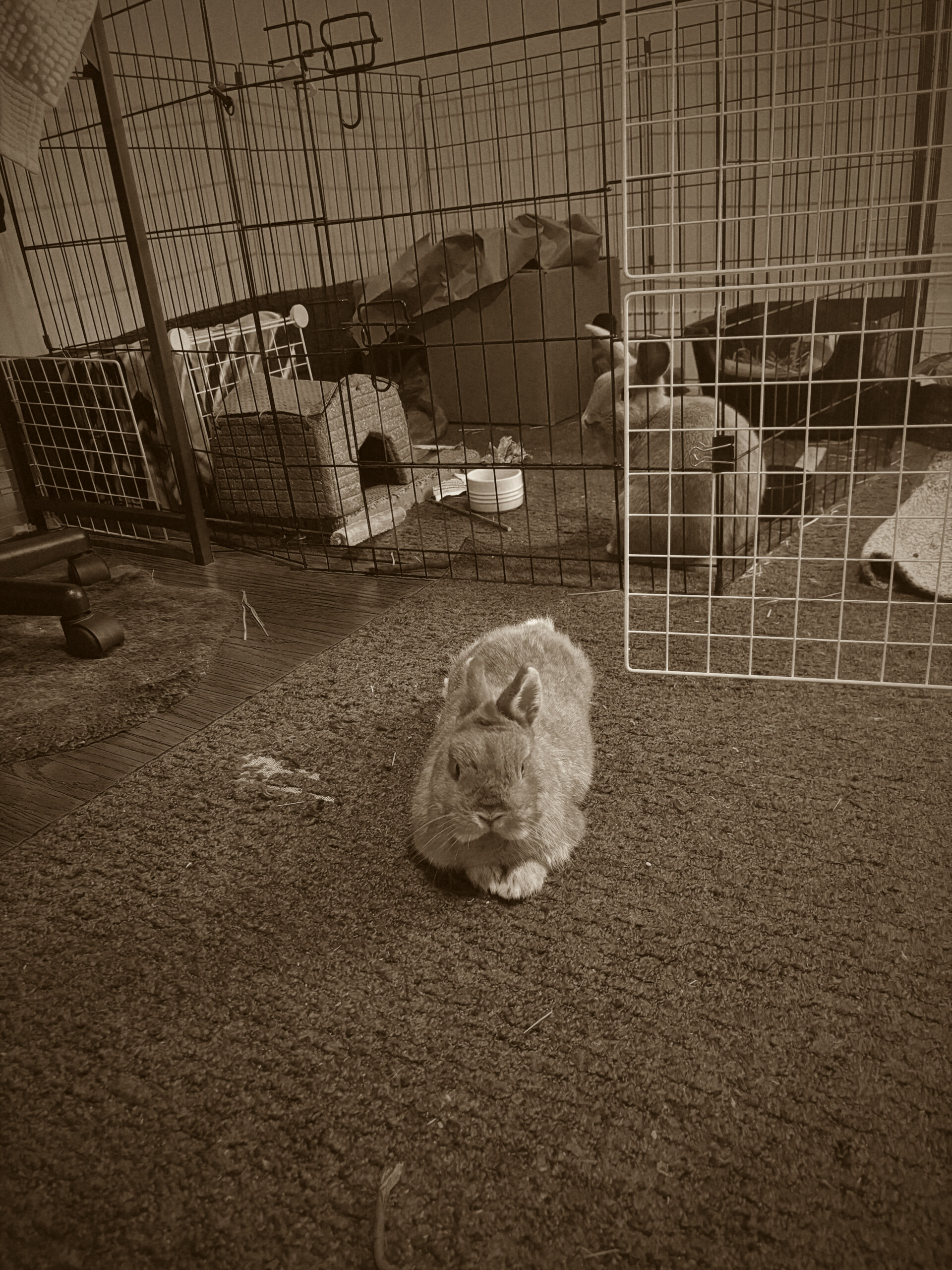 Email blast from the distant past