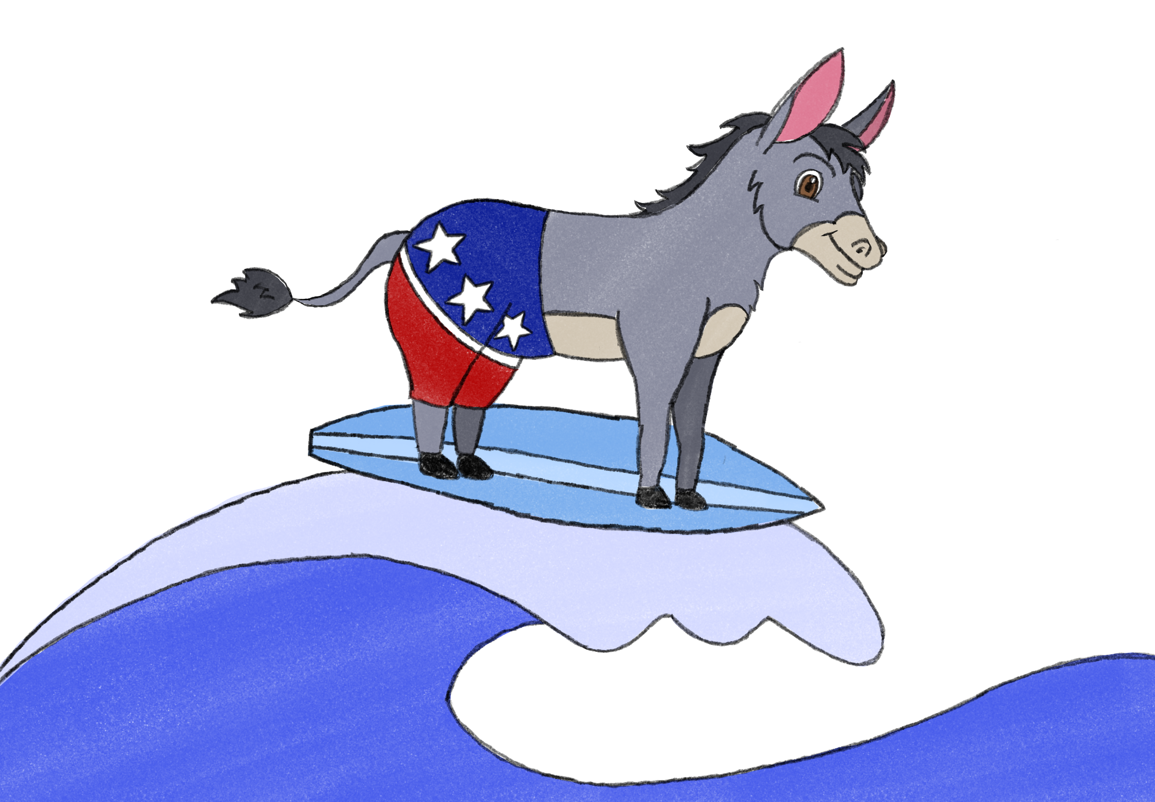 The Blue Tsunami of November 2025, as observed by a recent Rochester immigrant