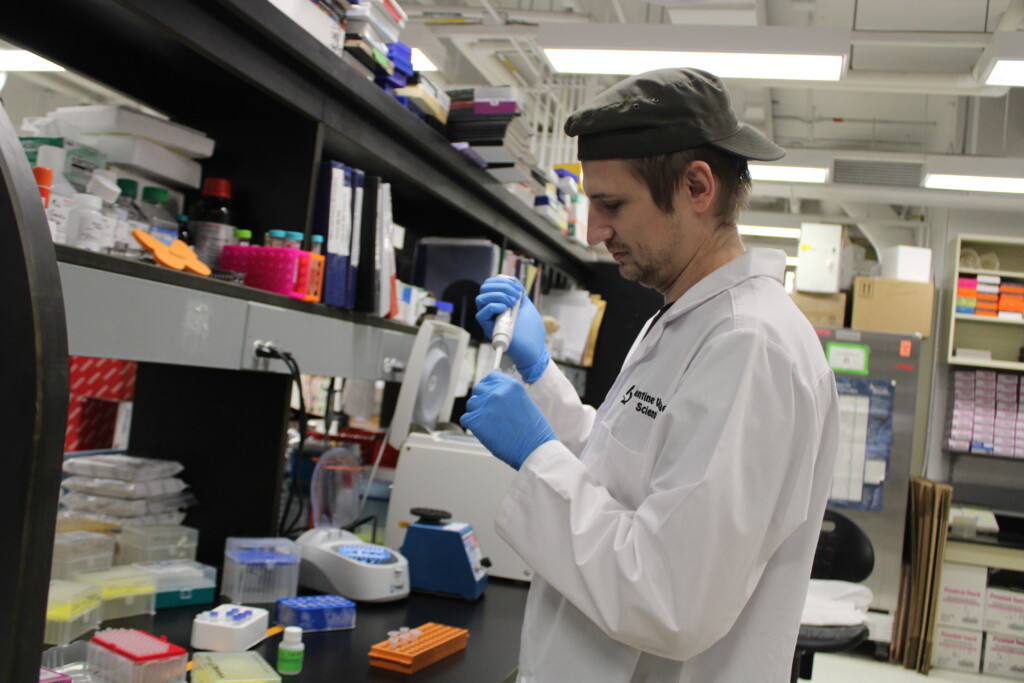 A look inside the Gorbunova-Seluanov Lab: Studying the science behind aging to improve human health