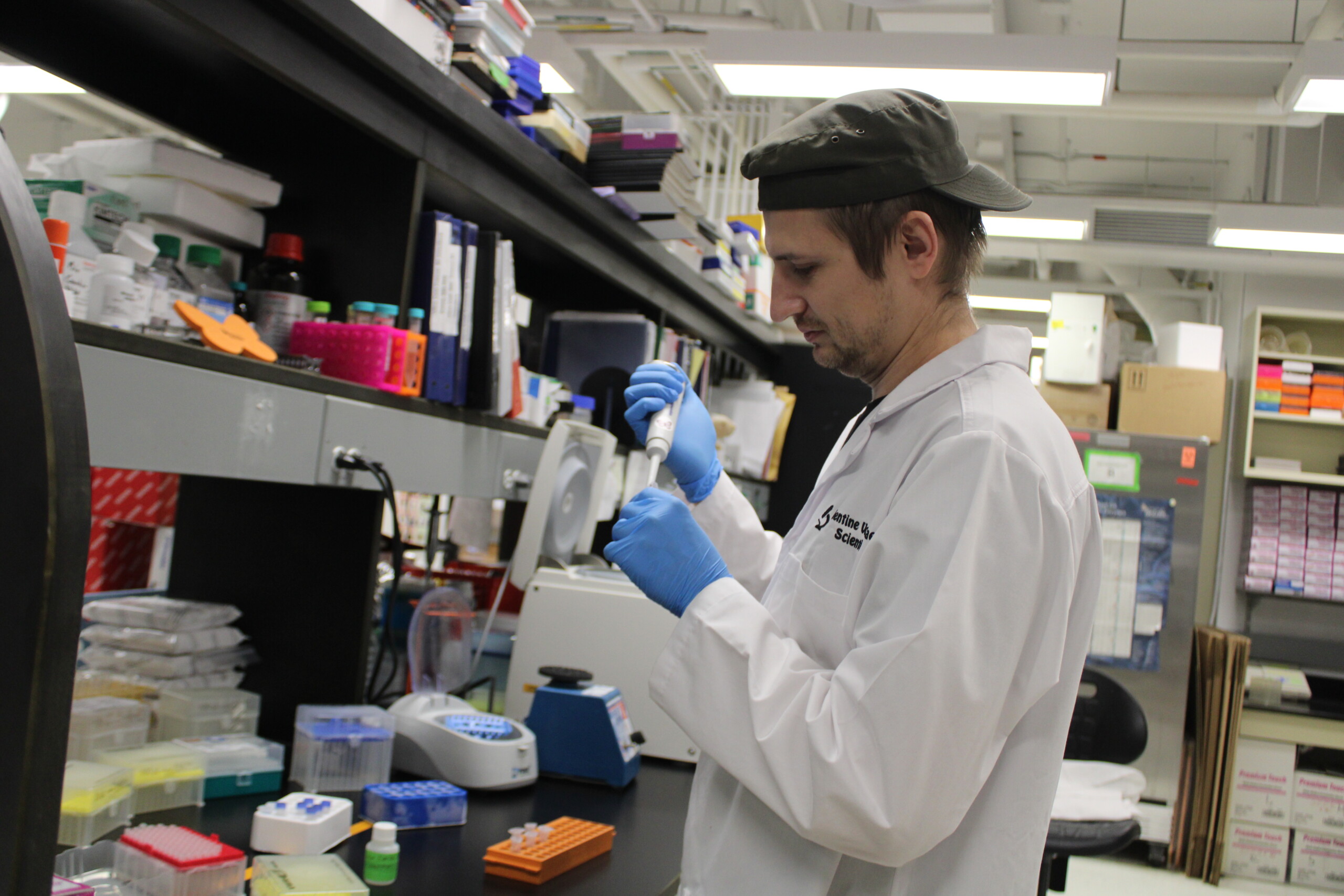 A look inside the Gorbunova-Seluanov Lab: Studying the science behind aging to improve human health