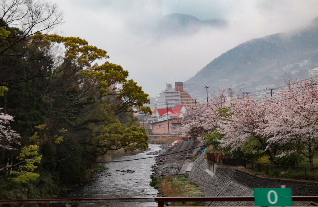 Spring is coming, but what does that mean?