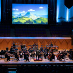 A night at the Stardew symphony