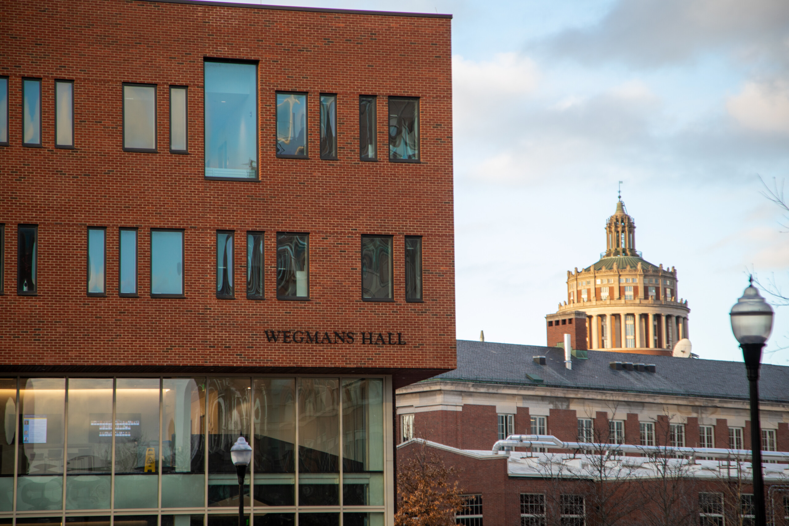 An emergency room for the rule of law: Sonia Mittal on democratic strain and the role of universities