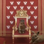 A farewell address from your rabbit overlord