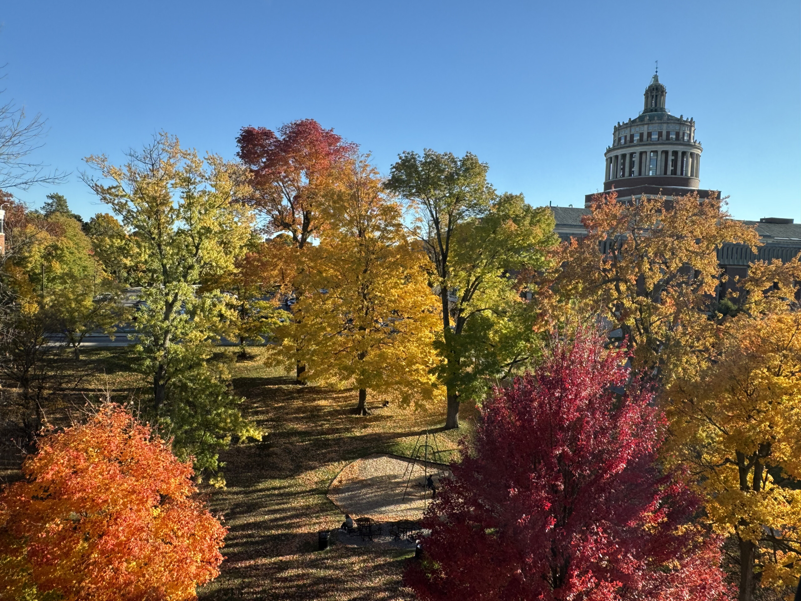 Choose your own adventure, Rochester fall edition