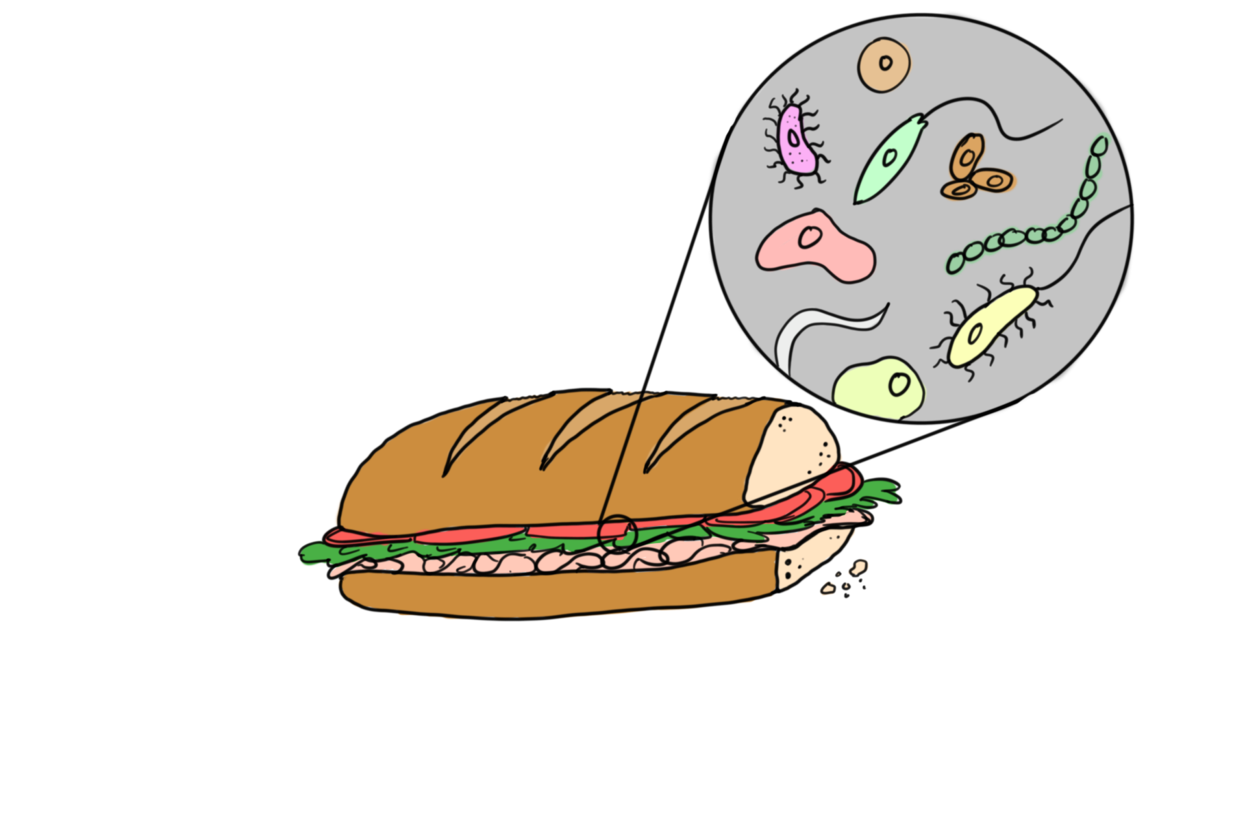 Foodborne illnesses send public into panic