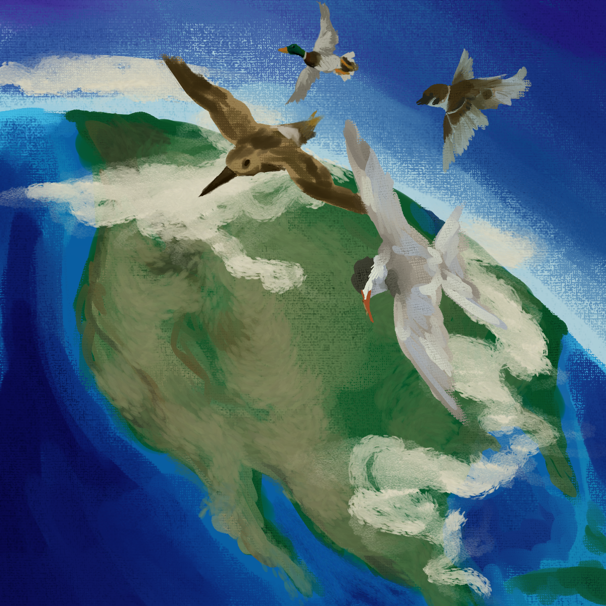 Birder’s Log: Spotlight on Migration