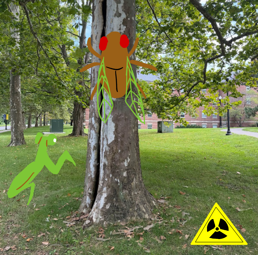 Radioactive Wilson Quad