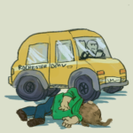 Rochester v. Department of Motor Vehicles (2026)